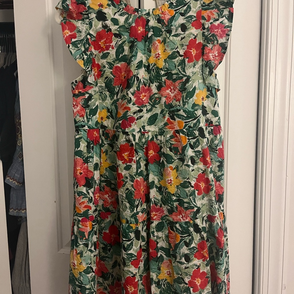 THML Floral Mini Dress with Ruffle Sleeves
